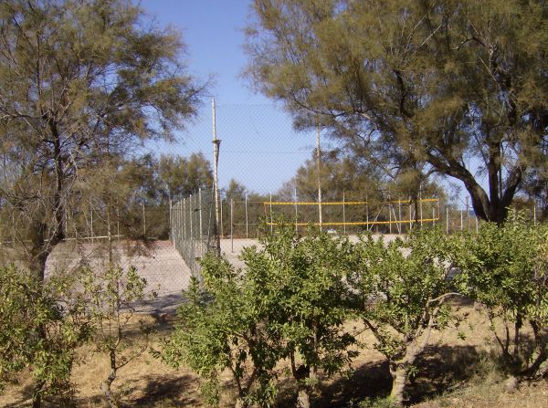 Campo sportivo recintato con vegetazione circostante e alberi.