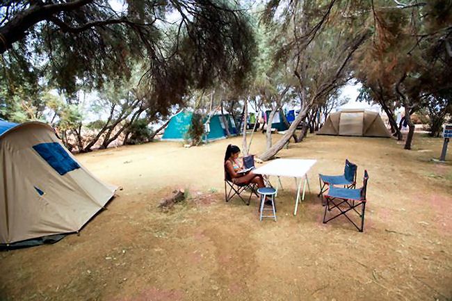 Area camping con tende sotto alberi, una persona seduta a un tavolo.