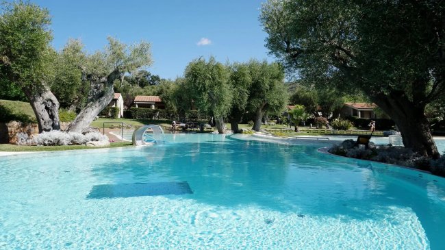 Ampia piscina circondata da ulivi.