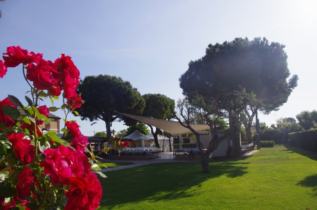 Giardino verde con alberi, rose rosse e un'area coperta.