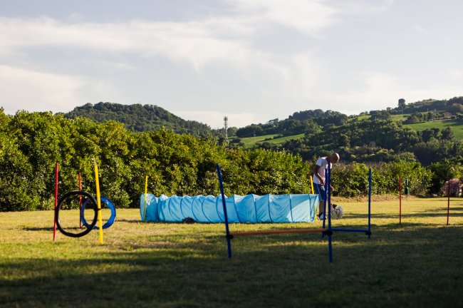 Un percorso di agility per cani all'aperto con ostacoli e un uomo in piedi con un cane.