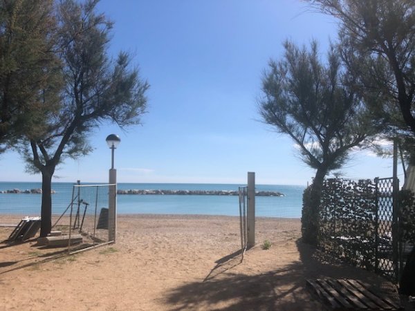 Ingresso di una spiaggia sabbiosa con due alberi e un lampione. Il mare è calmo in lontananza.