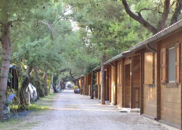 Un viale alberato con case di legno lungo il percorso.