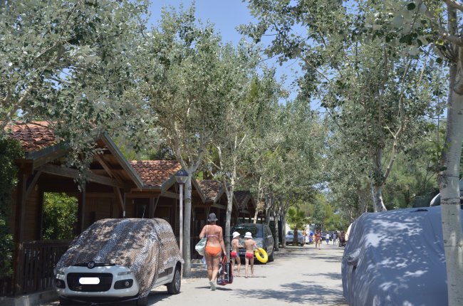 Persone camminano lungo un viale alberato vicino a case di legno e auto parcheggiate.